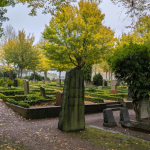 Gestão de resíduos e impacto ambiental no setor funerário analisados por Tiago Oliva Schietti.