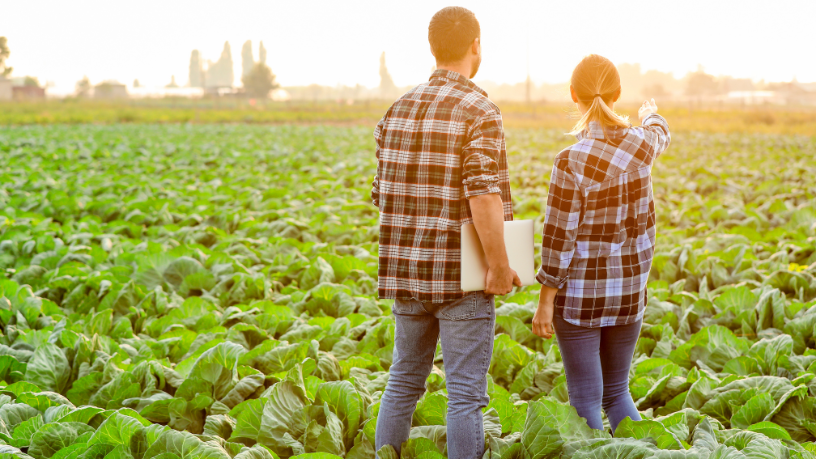 Alfredo Moreira Filho