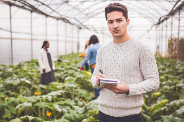 Alfredo Moreira Filho