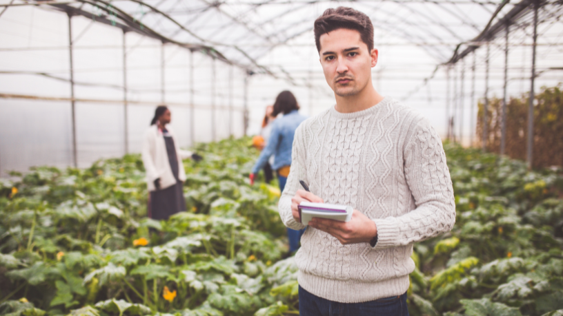 Alfredo Moreira Filho
